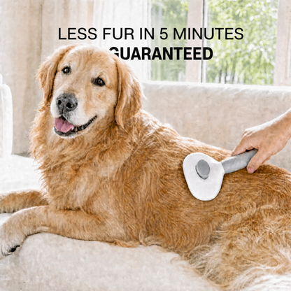 SelfClean Pro™- Self-Cleaning Deshedding Brush For Dogs & Cats